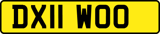 DX11WOO