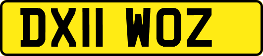 DX11WOZ