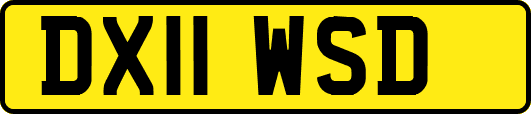 DX11WSD