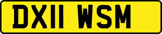 DX11WSM