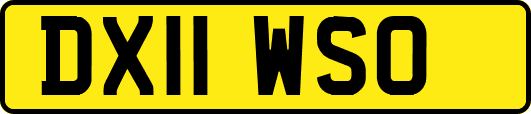DX11WSO