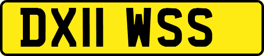 DX11WSS
