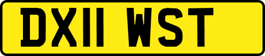 DX11WST