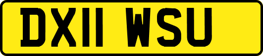 DX11WSU