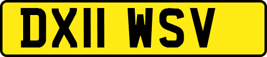 DX11WSV