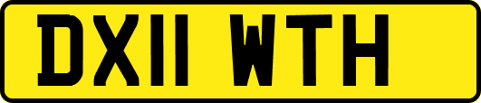 DX11WTH