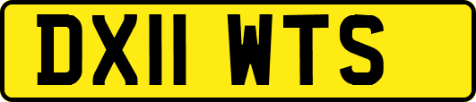 DX11WTS