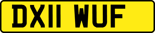DX11WUF