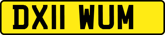 DX11WUM