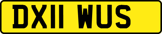 DX11WUS