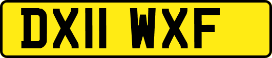 DX11WXF