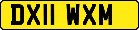 DX11WXM