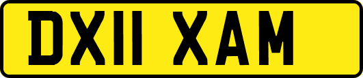 DX11XAM