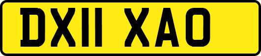 DX11XAO