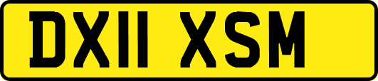 DX11XSM