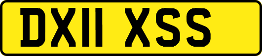 DX11XSS