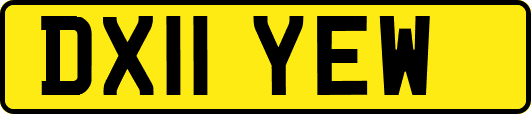 DX11YEW