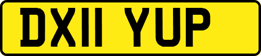 DX11YUP