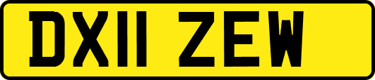DX11ZEW