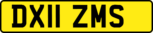 DX11ZMS