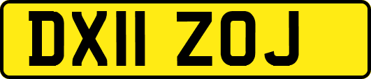 DX11ZOJ