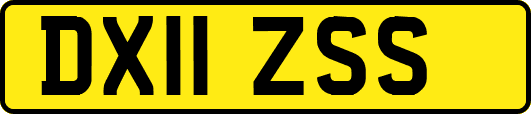 DX11ZSS