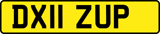 DX11ZUP