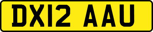 DX12AAU