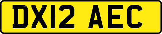 DX12AEC