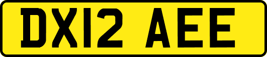DX12AEE