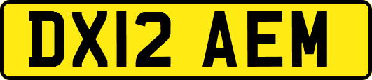 DX12AEM