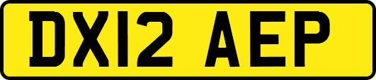 DX12AEP