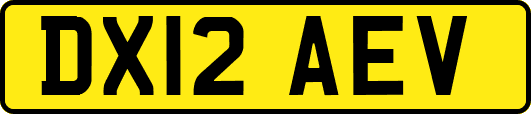 DX12AEV