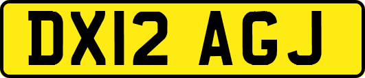 DX12AGJ