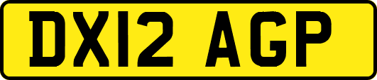 DX12AGP