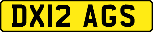 DX12AGS