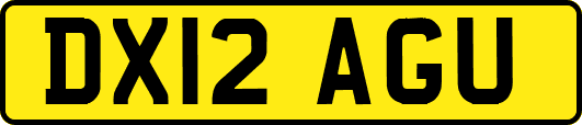 DX12AGU