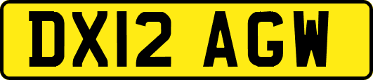 DX12AGW