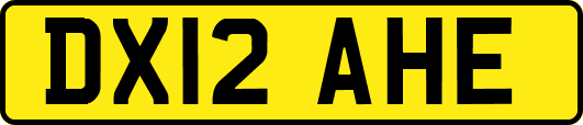 DX12AHE