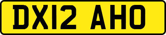 DX12AHO