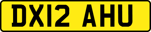DX12AHU