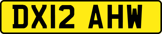 DX12AHW