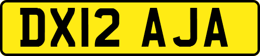 DX12AJA