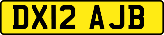 DX12AJB