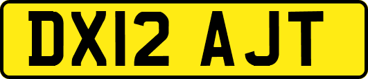 DX12AJT