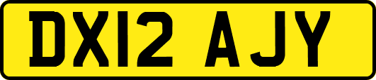 DX12AJY