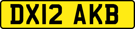 DX12AKB