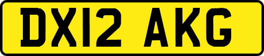 DX12AKG