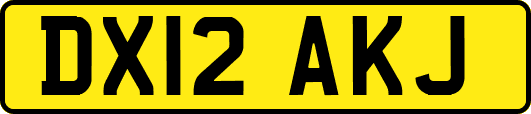 DX12AKJ