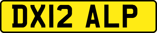 DX12ALP